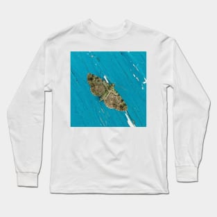 Turquoise Moth Long Sleeve T-Shirt